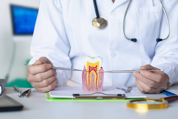 Best Pediatric Emergency Dentist in Strasburg, OH